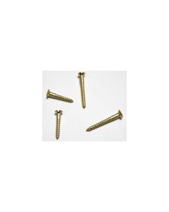 G4  Brass Slotted Countersunk Wood Screws