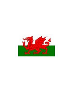 Welsh Dragon Flag  30 x 45 cm